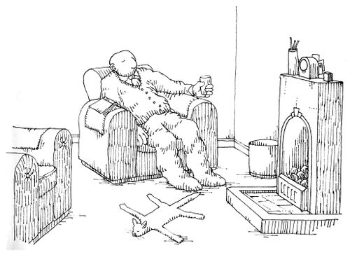 101 uses of a dead cat: rug.