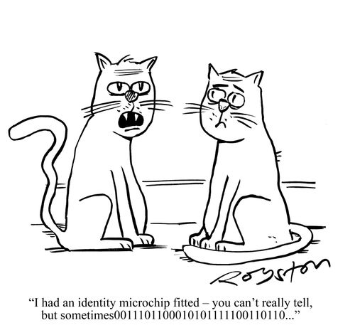 Micro-chipped cat talks in binary.