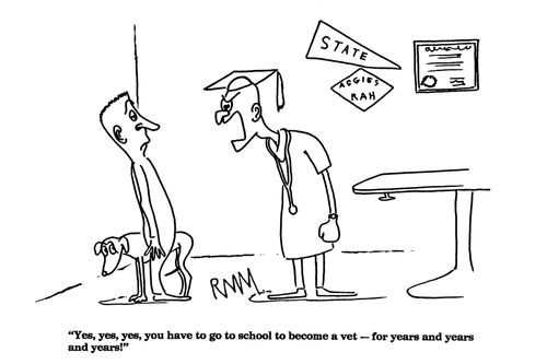 'Yes, yes, yes, you have to go to school to become a vet...