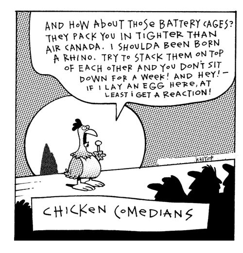 Chicken comedians.