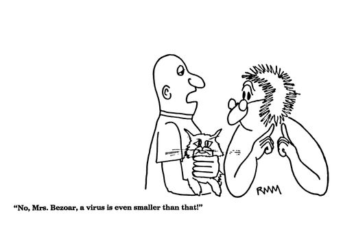 'No, Mrs. Bezoar, a virus is even smaller than that!'