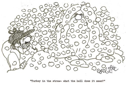 'Turkey in the straw- what the hell does it mean?'
