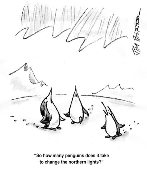 "So how many penguins does it take to change the northern lights?"
