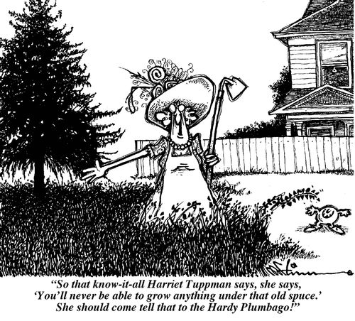 'So, that know-it-all Harriet Tuppman says...'