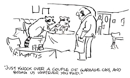 'Just knock over a couple of garbage cans, and bring us whatever you find.'