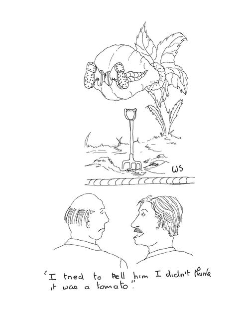 'I tried to tell him I didn't think it was a tomato.'