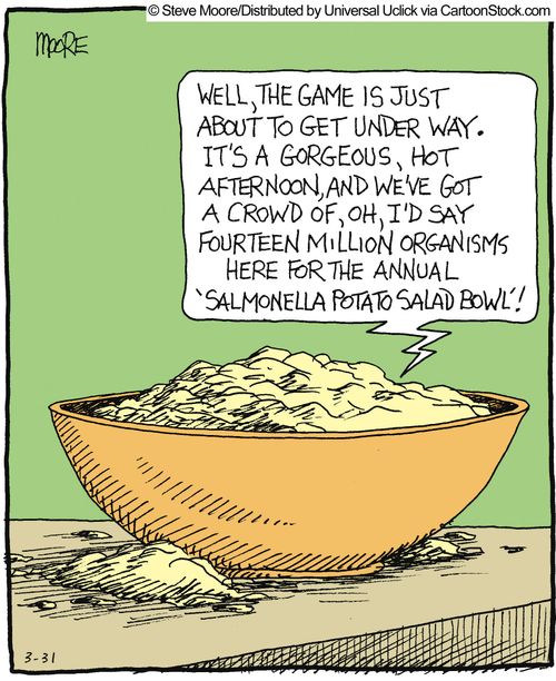 '... we've got a crowd of, oh I'd say fourteen million organisms here for the annual 'Salmonella potato salad bowl'!'