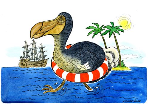 Dodo with rubber ring