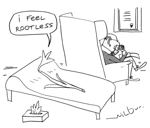 'I feel rootless.'