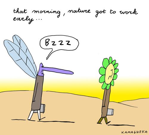 'That morning, nature got to work early...'
