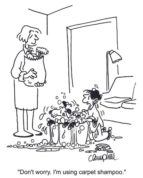 'Don't worry. I'm using carpet shampoo.'