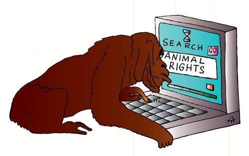 Monkey does a search for 'Animal rights'.