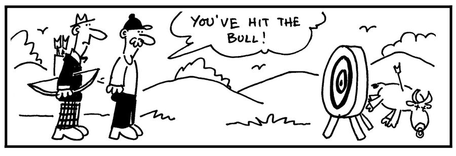 'You've hit the bull.'