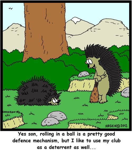 'Yes son, rolling in a ball is a pretty good defence mechanism, but I like to use my club as a deterrent as well...'