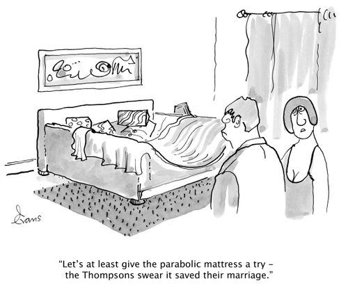 'Let's at least give the parabolic mattress a try - the Thompsons swear it saved their marriage.'