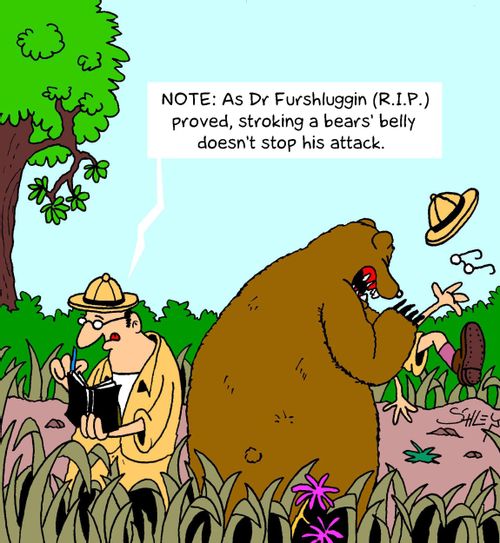 NOTE: As Dr Furshluggin (R.I.P.) proved, stroking a bears' belly doesn't stop his attack.