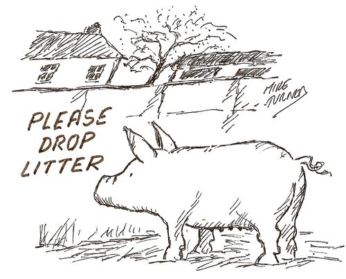 Please Drop Litter.