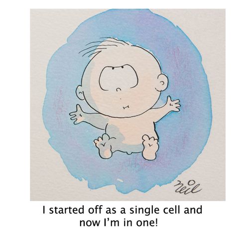 'I started off as a single cell and now I'm in one.'