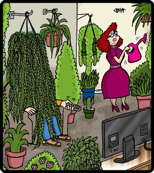 Husband is overtaken by wife's obsession with plants.