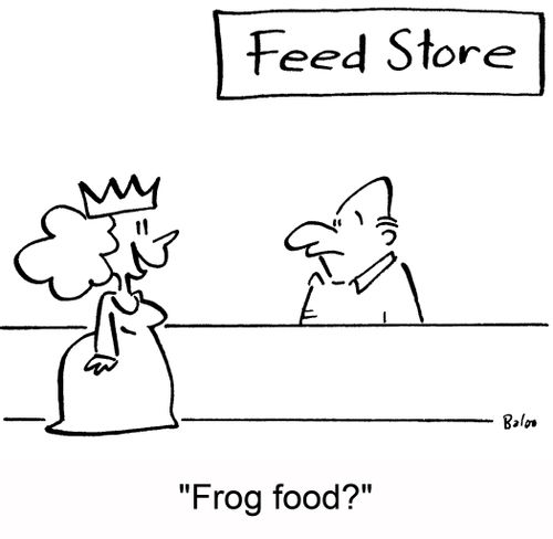 'Frog food?'