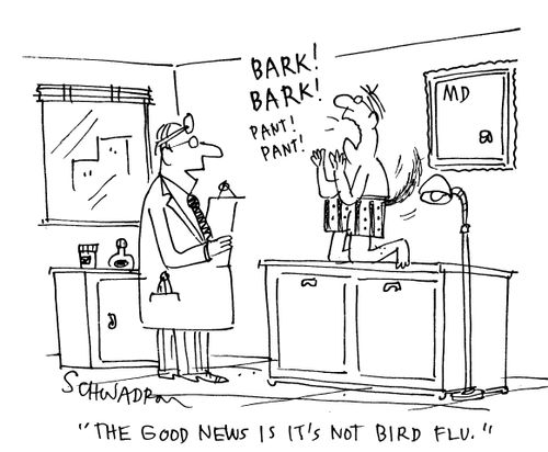 'The good news is it's not bird flu.'