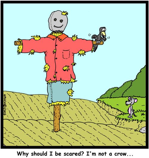 'Why should I be scared? I'm not a crow...'