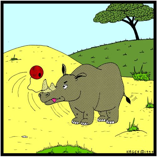 Rhinoceros playing Bilboquet.