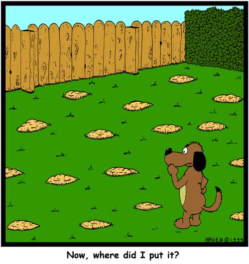 'Now, where did I put it?'