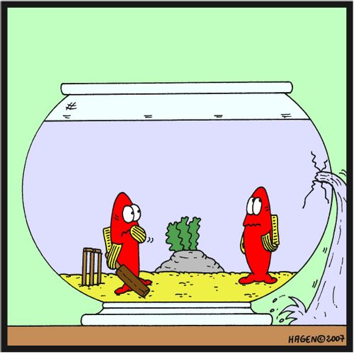 Fish Playing Cricket and Break Glass.