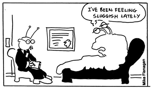 I've been feeling sluggish lately.