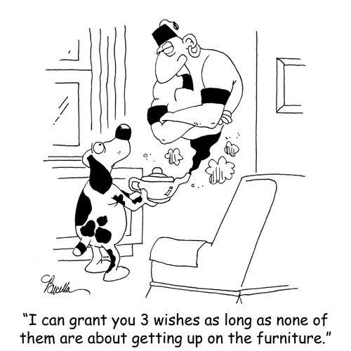 'I can grant you 3 wishes as long as none of them are about getting up on the furniture.'