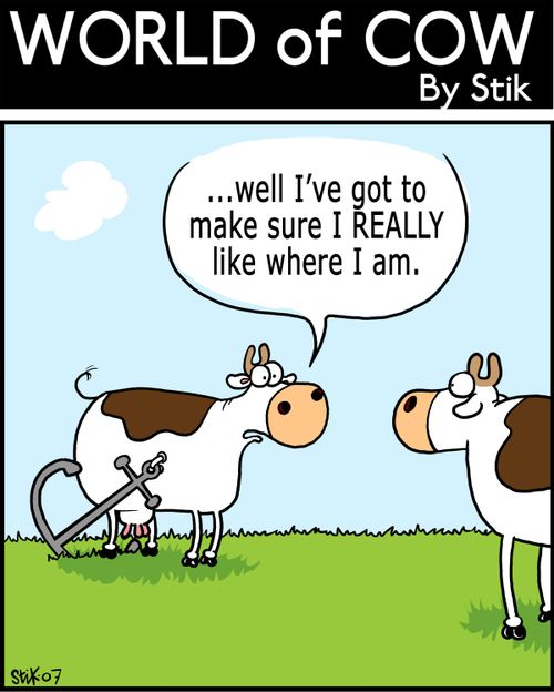...Well I've got to make sure I REALLY like where I am.