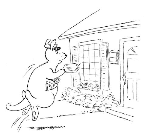 Knagaroo mailman.