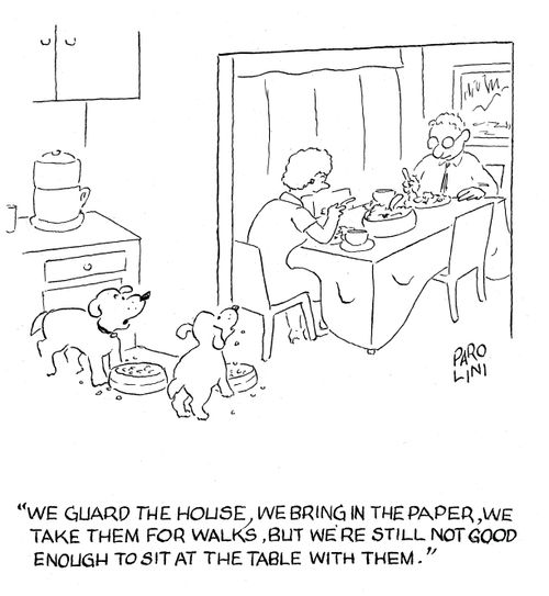 'We guard the house, we bring in the paper, we take them for walks, but we're still not good enough to sit at the table with them.'