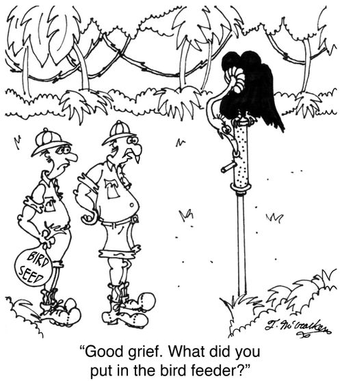 'Good grief. What did you put in the bird feeder?'