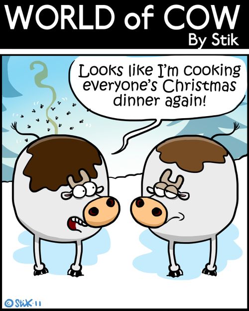 'Looks like I'm cooking everyone's Christmas dinner again!'