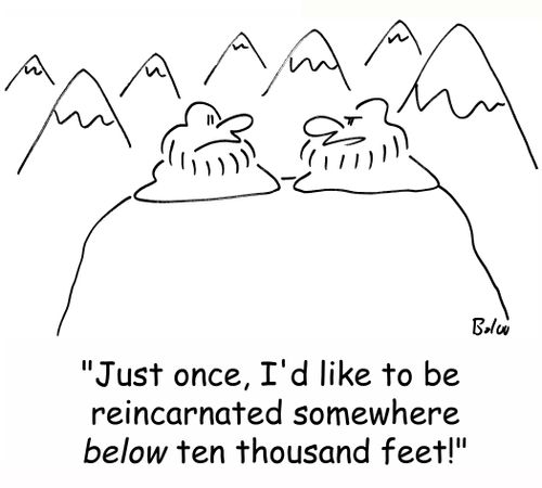 'Just once, I'd like to be reincarnated somewhere BELOW ten thousand feet!'