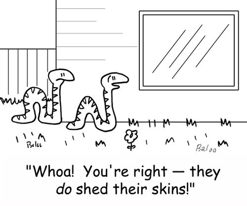'Whoa! You're right - they DO shed their skins!'