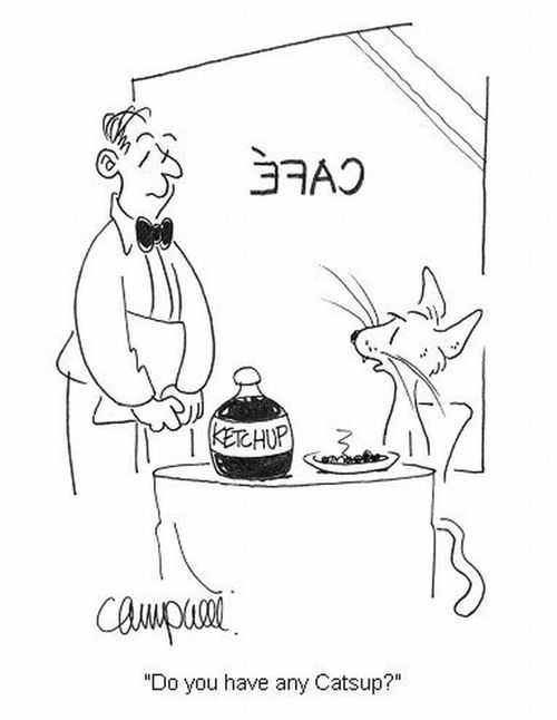 'Do you have any catsup?'