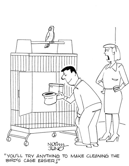 'You'll try anything to make cleaning the bird's cage easier!'