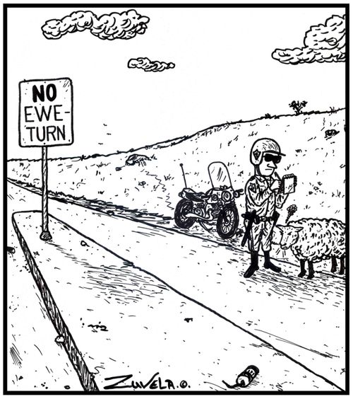 NO ewe-turn.