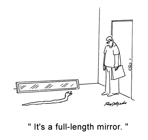 'It's a full-length mirror.'