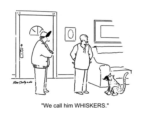 'We call him Whiskers.'