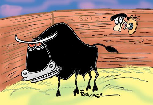 Bull with matador trophies.