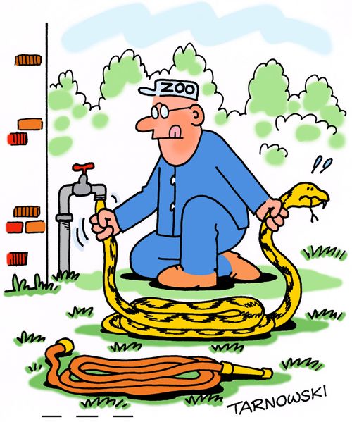 Trying to use a snake as a hose.