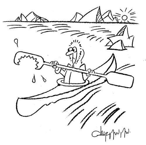 Canoe paddle with a bite mark in it.