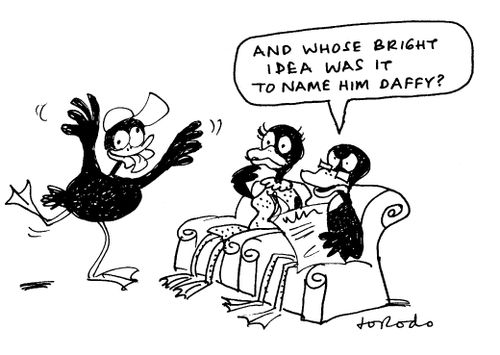 "And whose bright idea was it to name him Daffy?"