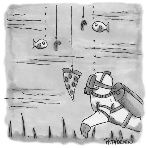 Bait for Snorkellers