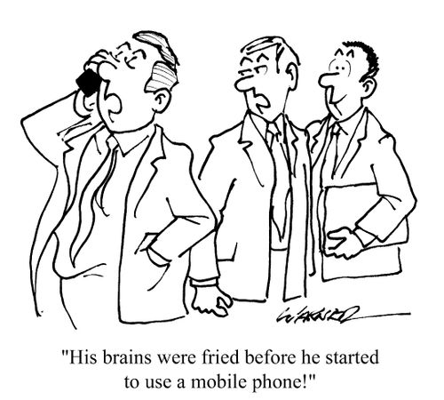 "His brains were fried before he started to use a mobile phone!"