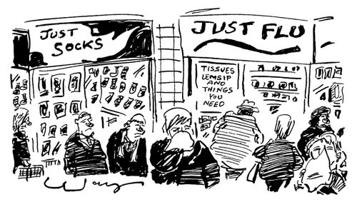 Two shops 'Just Socks' 'Just Flu'